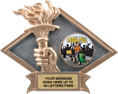 Victory Dimensional Diamond Resin Insert Trophy