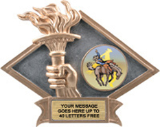 Victory Dimensional Diamond Resin Insert Trophy