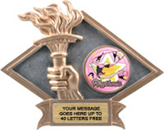 Victory Dimensional Diamond Resin Insert Trophy