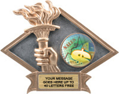 Victory Dimensional Diamond Resin Insert Trophy