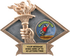 Victory Dimensional Diamond Resin Insert Trophy