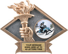 Victory Dimensional Diamond Resin Insert Trophy