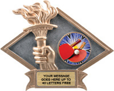 Victory Dimensional Diamond Resin Insert Trophy