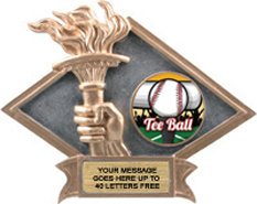 Victory Dimensional Diamond Resin Insert Trophy [6 x 8.5 inch] large
