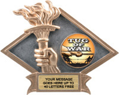 Victory Dimensional Diamond Resin Insert Trophy