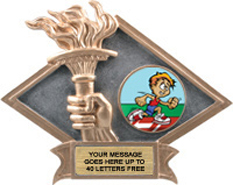 Victory Dimensional Diamond Resin Insert Trophy [6 x 8.5 inch] large