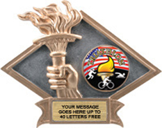 Victory Dimensional Diamond Resin Insert Trophy