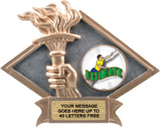 Victory Dimensional Diamond Resin Insert Trophy