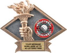 Victory Dimensional Diamond Resin Insert Trophy [6 x 8.5 inch] large