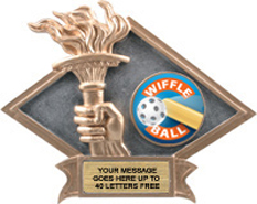 Victory Dimensional Diamond Resin Insert Trophy