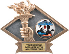 Victory Dimensional Diamond Resin Insert Trophy