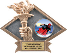 Victory Dimensional Diamond Resin Insert Trophy