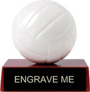 Volleyball Heritage Wood & Resin Trophy [3 inch]