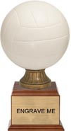 Volleyball Full Size Resin Award - Color [15 inch]