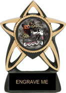 Resin Star insert Trophy [6 inch]