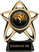 Resin Star insert Trophy [7 inch]