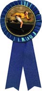 Insert ribbon [3 x 6.5 inch blue]