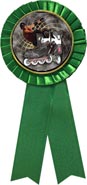 Insert ribbon [3 x 6.5 inch green]