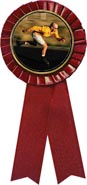 Insert ribbon [3 x 6.5 inch red]