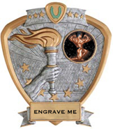 Victory Insert Award Sport Legend Shield Resin Trophy [7.5 x 8.5 inch]