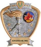 Victory Insert Award Sport Legend Shield Resin Trophy [7.5 x 8.5 inch]