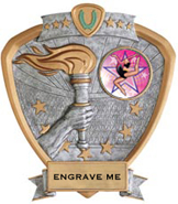 Victory Insert Award Sport Legend Shield Resin Trophy [7.5 x 8.5 inch]