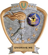 Victory Insert Award Sport Legend Shield Resin Trophy [7.5 x 8.5 inch]