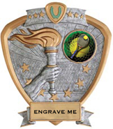 Victory Insert Award Sport Legend Shield Resin Trophy [7.5 x 8.5 inch]