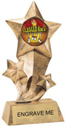Shooting Star Insert Resin [9 inch]