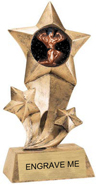 Shooting Star Insert Resin [9 inch]