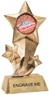 Shooting Star Insert Resin [9 inch]