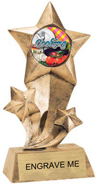 Shooting Star Insert Resin [9 inch]