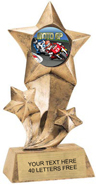 Shooting Star Insert Resin [9 inch]
