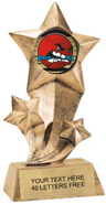 Shooting Star Insert Resin [9 inch]