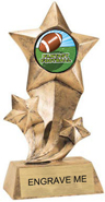 Shooting Star Insert Resin [9 inch]