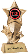 Shooting Star Insert Resin [9 inch]