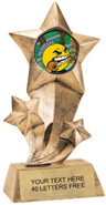 Shooting Star Insert Resin [9 inch]