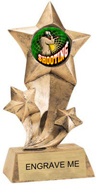 Shooting Star Insert Resin [9 inch]