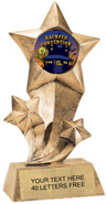 Shooting Star Insert Resin [9 inch]