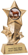 Shooting Star Insert Resin [9 inch]