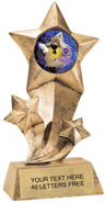 Shooting Star Insert Resin [9 inch]