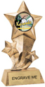 Shooting Star Insert Resin [9 inch]