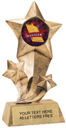 Shooting Star Insert Resin [9 inch]