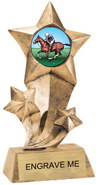 Shooting Star Insert Resin [9 inch]