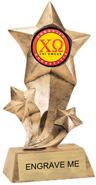 Shooting Star Insert Resin [9 inch]