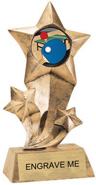 Shooting Star Insert Resin [9 inch]