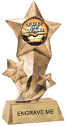 Shooting Star Insert Resin [9 inch]