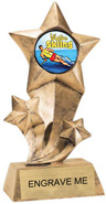 Shooting Star Insert Resin [9 inch]