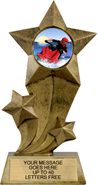 Shooting Star Insert Resin [9 inch]