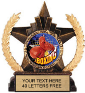 Insert Holder Star Resin Trophy [6 inch]